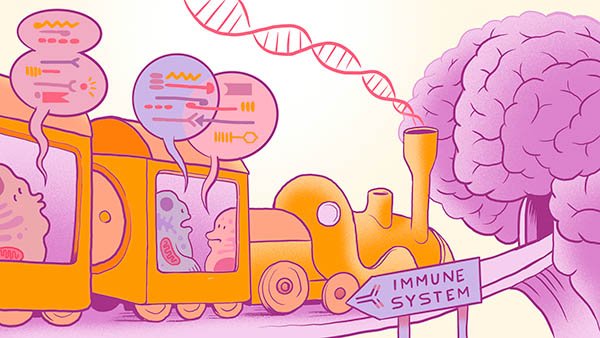 foto_home_sinbordesredondeados-final